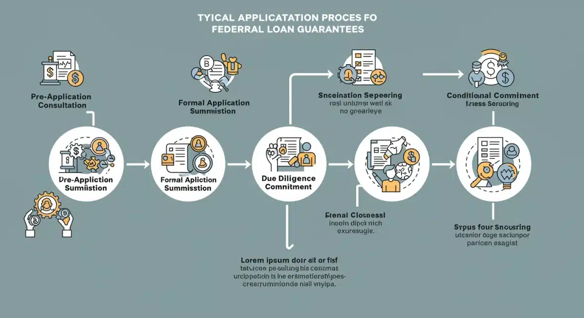 Infographic showing the step-by-step application process for federal loan guarantees